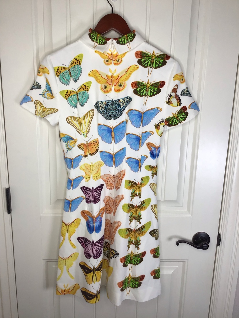 Reiss Tansy NYBG Butterfly Print Mini Dress Size 8. - Picture 5 of 12
